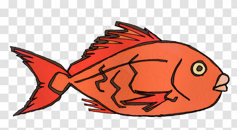Cartoon Fish Science Biology Transparent PNG