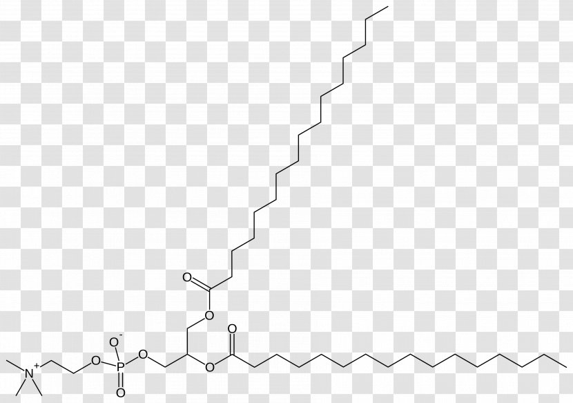 Dipalmitoylphosphatidylcholine Pulmonary Surfactant Phospholipid Lung - Chemical Substance - Diagram Transparent PNG