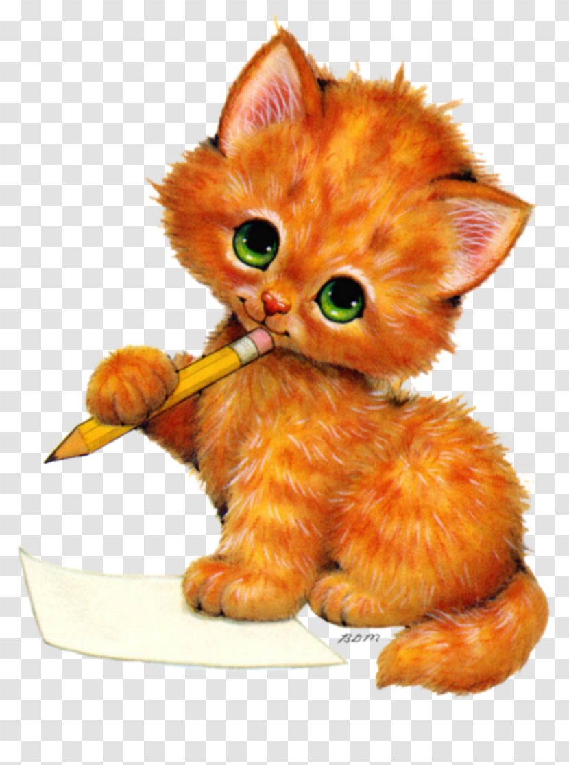 Kittens And Cat Clip Art - Snout - Kitten Transparent PNG