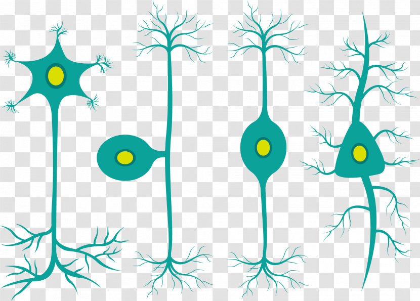 Cell Graphic Design Clip Art - Branch - Cute Medical Vector Transparent PNG