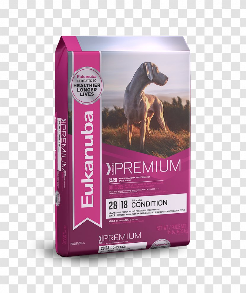 Cat Food Puppy Chihuahua Greyhound Eukanuba - Chow Dog Transparent PNG