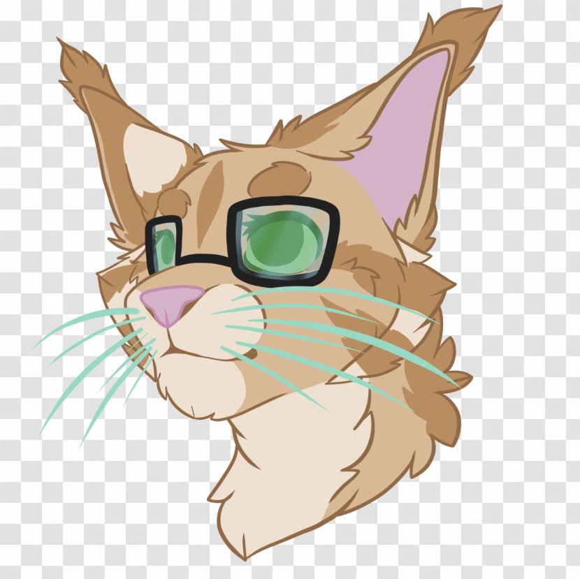 Whiskers Kitten Tabby Cat - Vision Care Transparent PNG