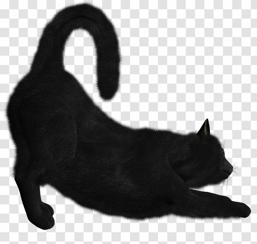 Black Cat Kitten Clip Art - Bombay Transparent PNG