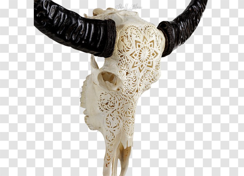 Mandala Skull The World Within Our Minds Cattle XL Horns - Symbol - Buffalo Transparent PNG