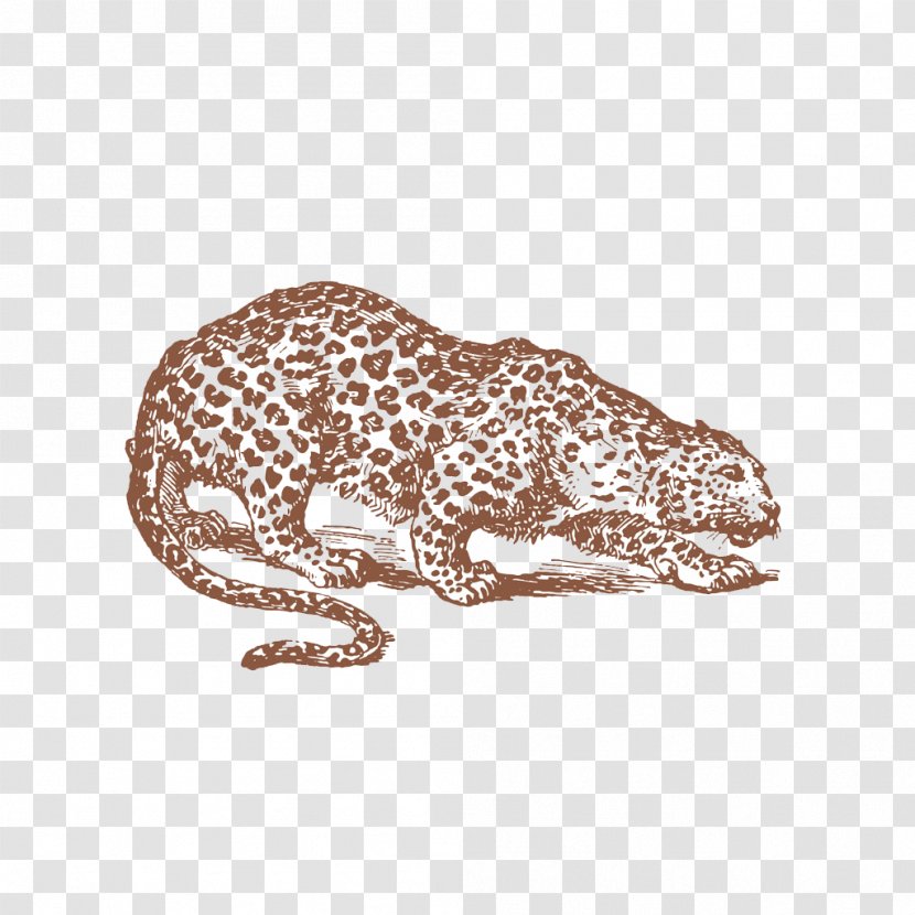 Painted Jaguar - Terrestrial Animal Transparent PNG