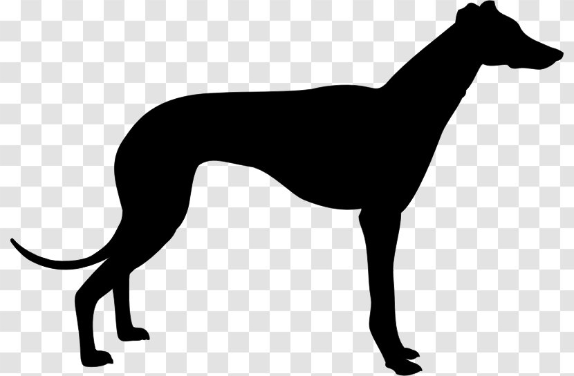Italian Greyhound Whippet Lines Clip Art - Silhouette Transparent PNG