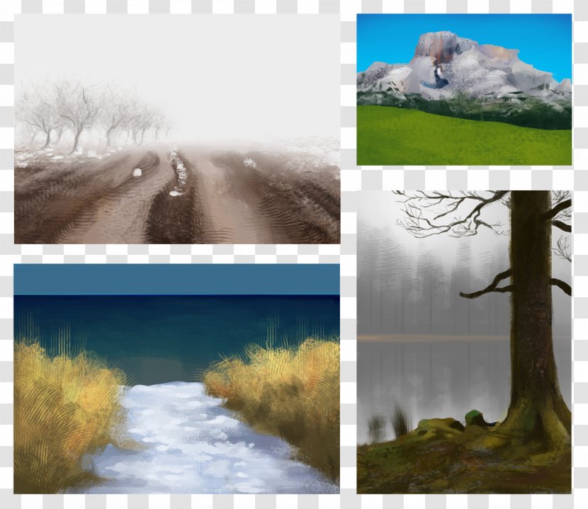 Desktop Wallpaper Stock Photography Tree Winter - Freezing Transparent PNG