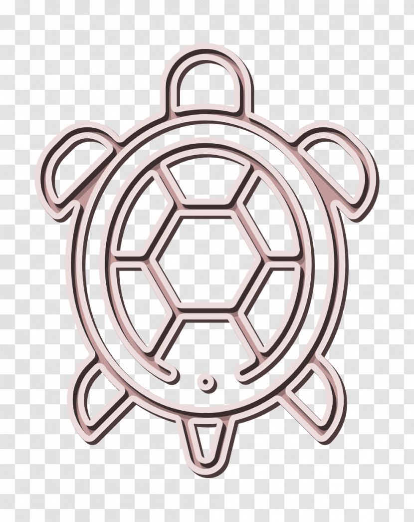 Turtle Icon Sea Life Icon Animal Icon Transparent PNG