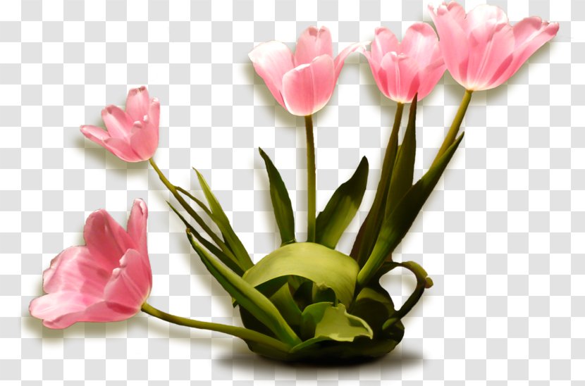 Blog - Cut Flowers - Tag Transparent PNG