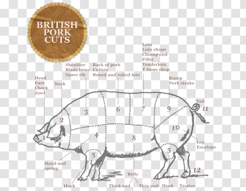 Domestic Pig Barbecue Cut Of Pork Beef Meat - Organism Transparent PNG