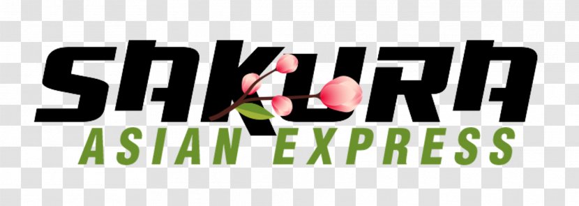 Sakura Asian Express Photography Blog - Logo - Title Box Transparent PNG