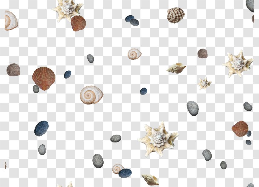 Clip Art Beach Image Sand - Shell - Seamless Transparent PNG