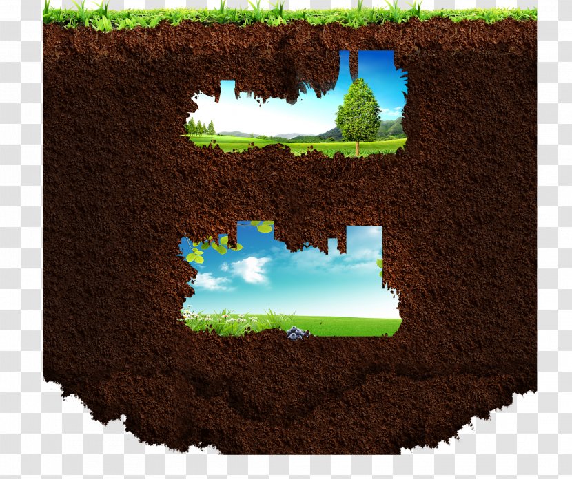 Nick FIG Background - Ecosystem - Soil Transparent PNG
