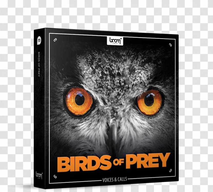 Bird Of Prey Owl Sound Effect - Buteoninae Transparent PNG