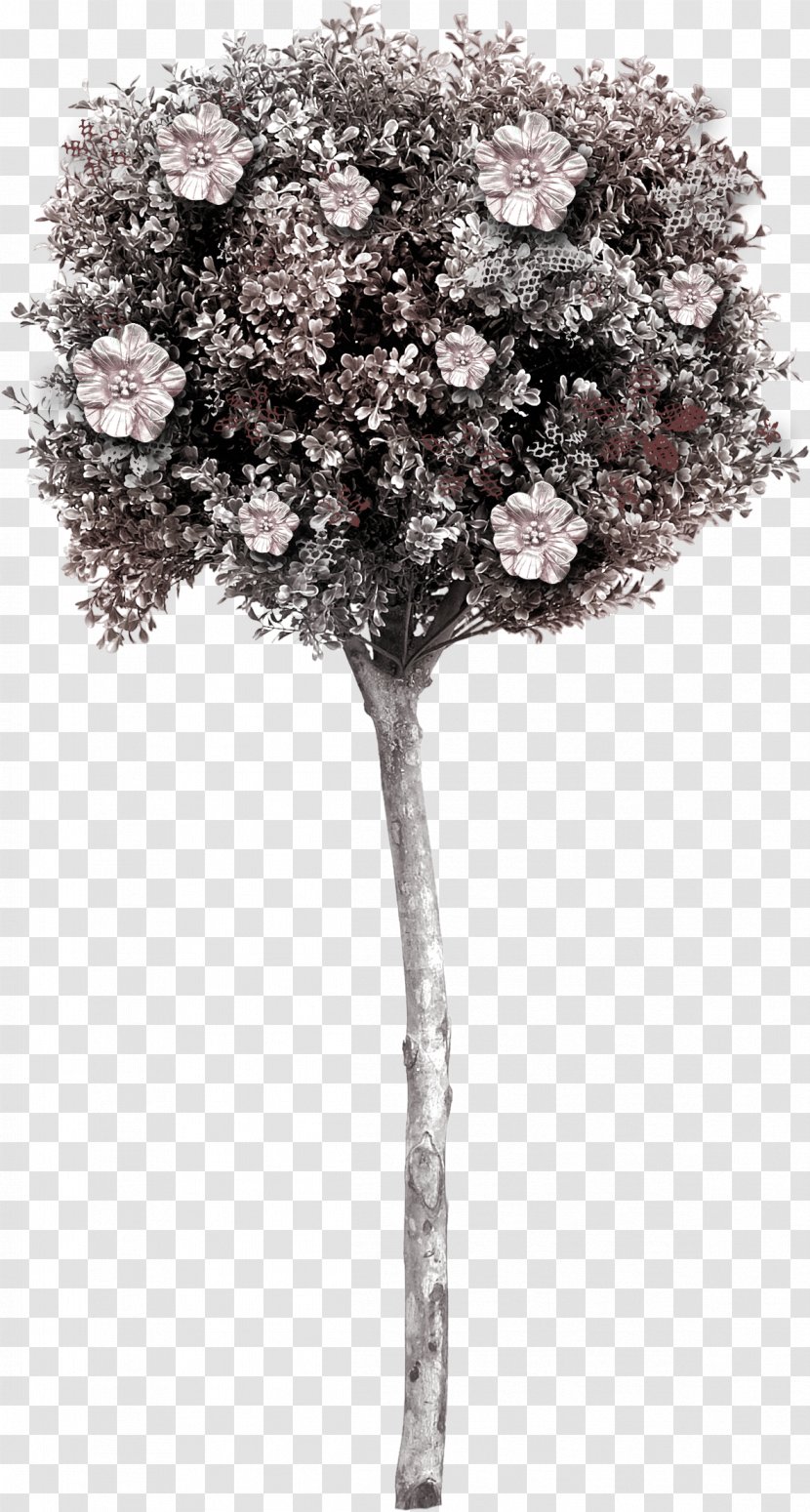 Tree - Plant - Bouquet Cloth Creative Trees Transparent PNG