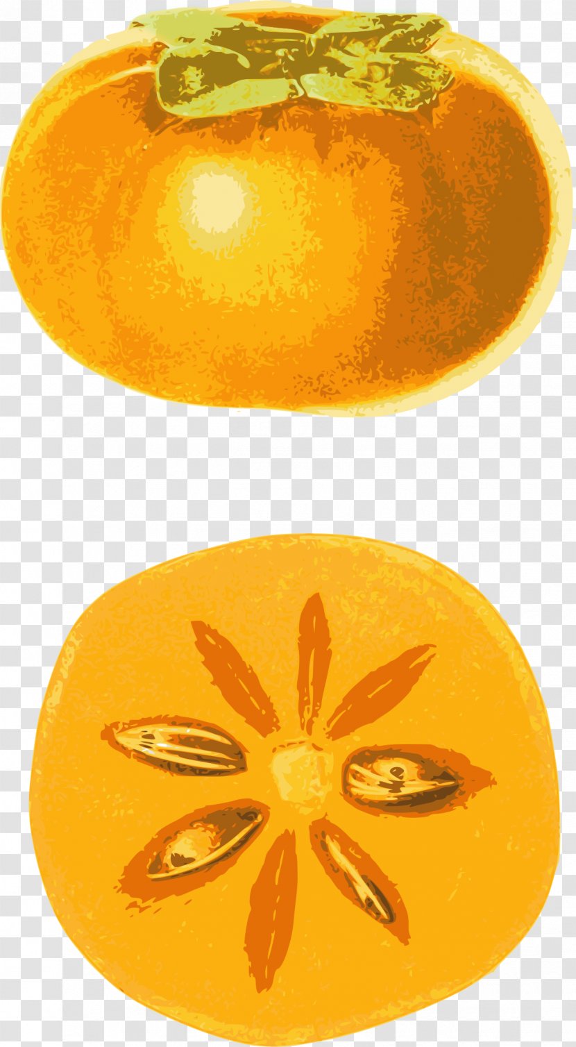 Vegetarian Cuisine Japanese Persimmon Common Fruit - Persimmons Transparent PNG