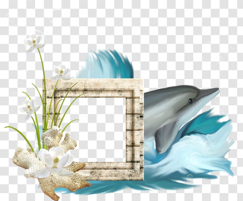 Picture Frames Desktop Wallpaper Beach Clip Art - Flower - Yj Transparent PNG