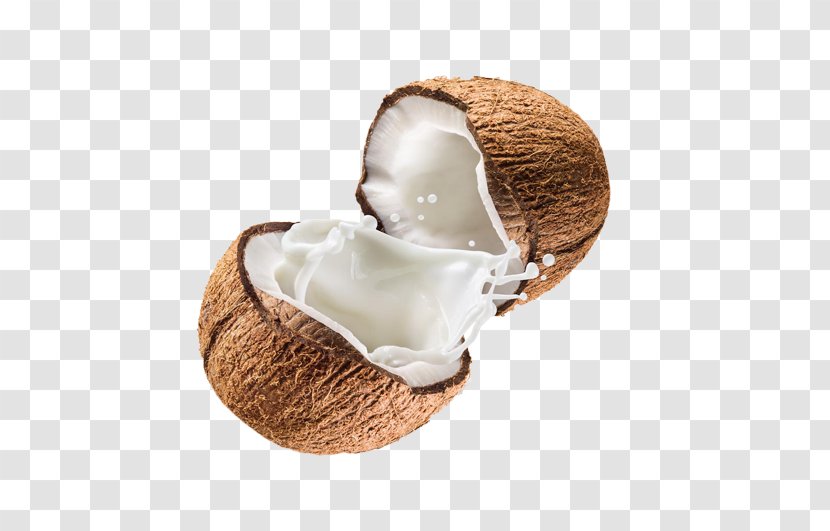 Coconut - Cream - Food Transparent PNG
