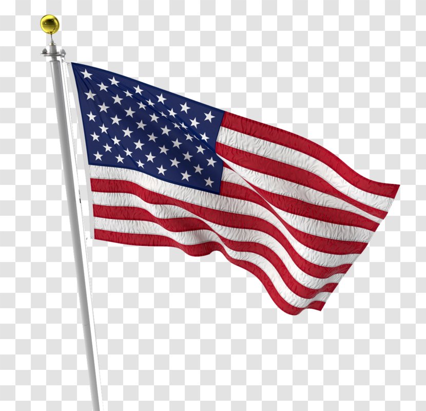 Flag Of The United States India - Flagpole - American Transparent PNG