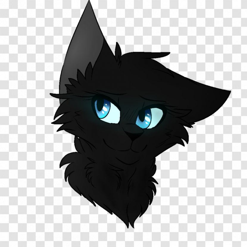 Whiskers Cat Cartoon Snout - Bat Transparent PNG