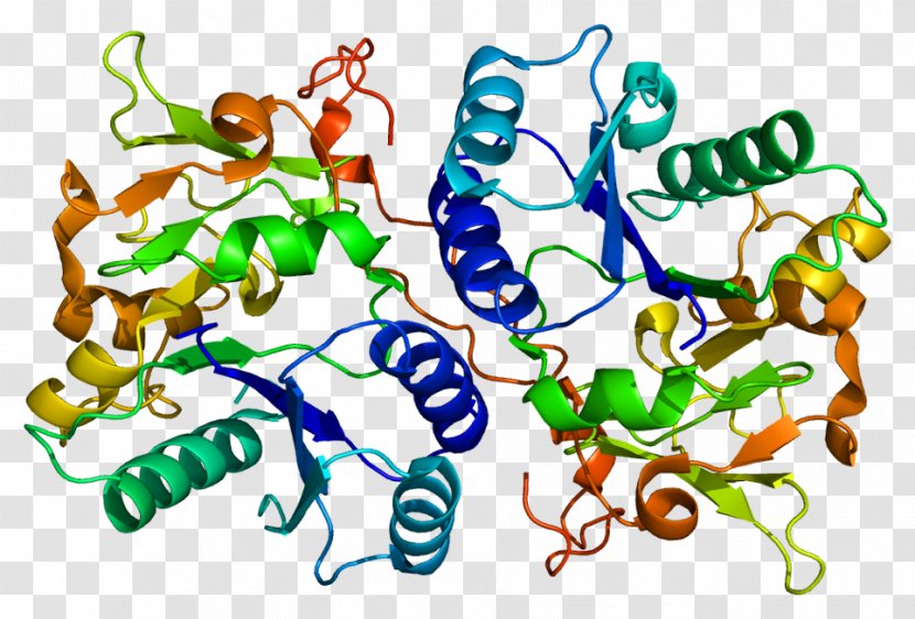 B3GAT1 Protein Glucuronosyltransferase Cluster Of Differentiation Antigen - Flower - Carbohydrate Molecule Membrane Transparent PNG