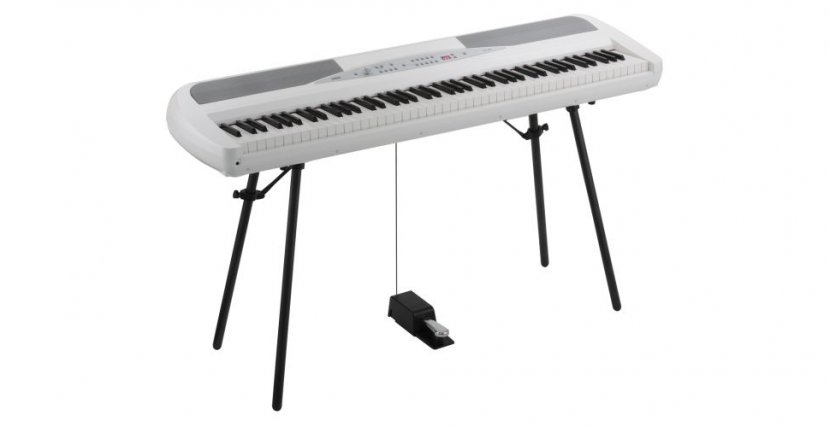 Yamaha P-115 Korg SP-280 Digital Piano Keyboard - Silhouette Transparent PNG