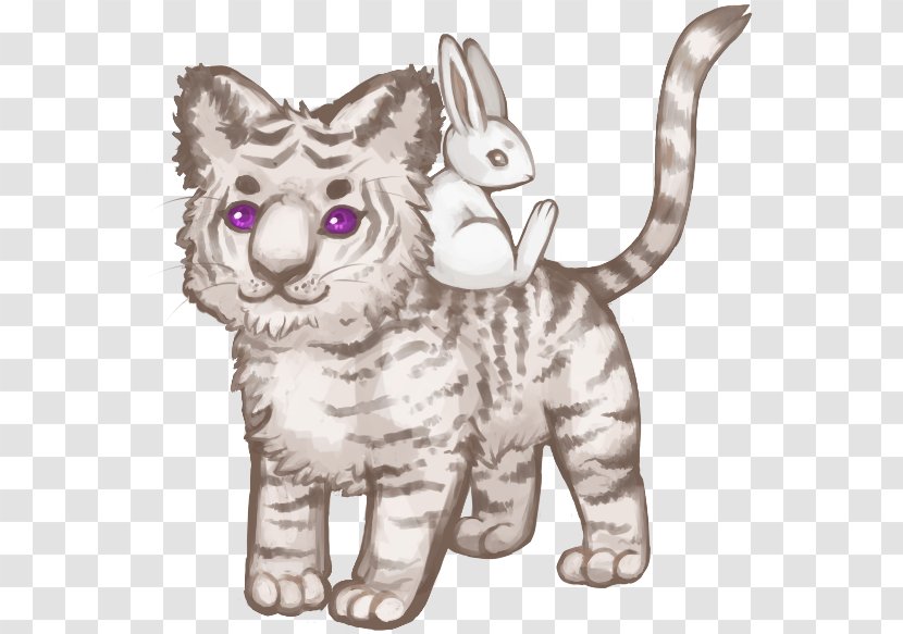 Whiskers Kitten Tabby Cat Doodle - Carnivoran Transparent PNG