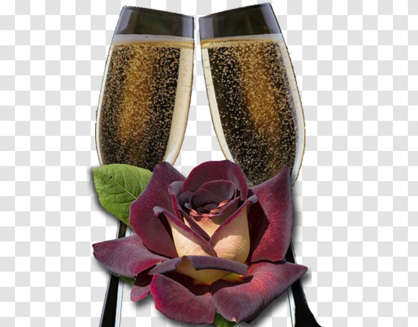 Hybrid Tea Rose Champagne Glass Garden Roses - Wine Transparent PNG