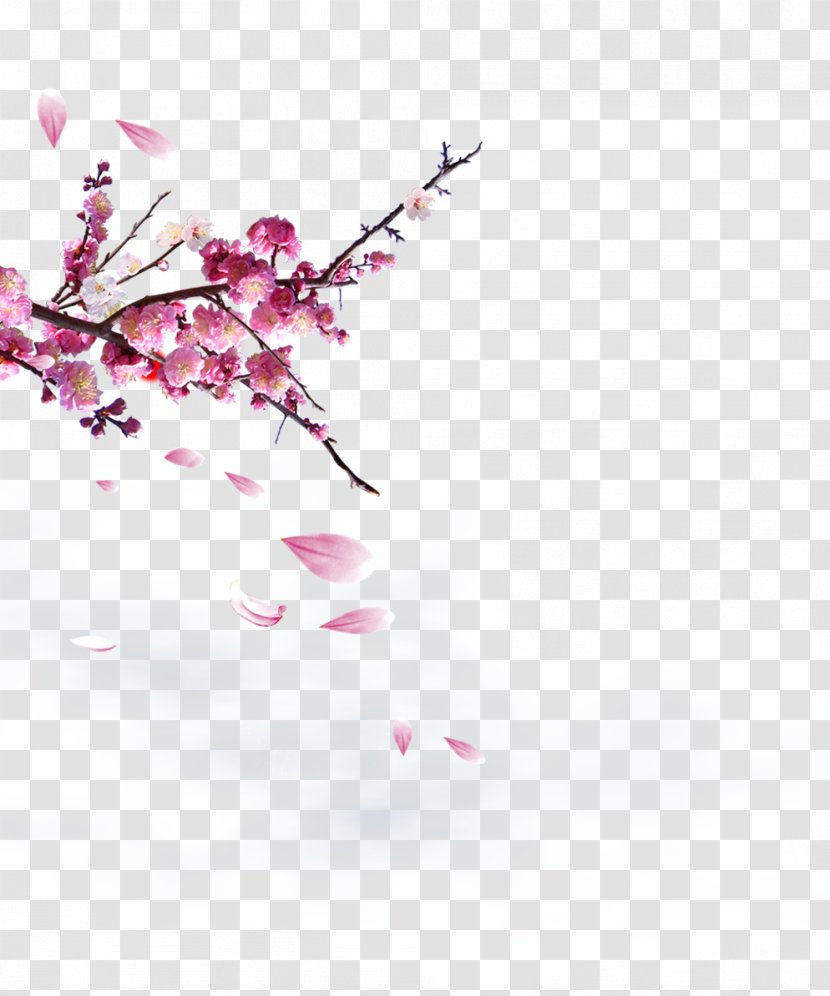 China Chinoiserie Poster Download Fukei - Logo - Plum Flower Transparent PNG