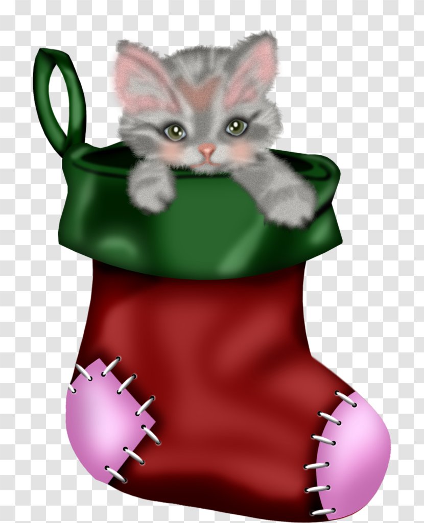 Green Cat Kitten Pink Small To Medium-sized Cats - Whiskers Mediumsized Transparent PNG