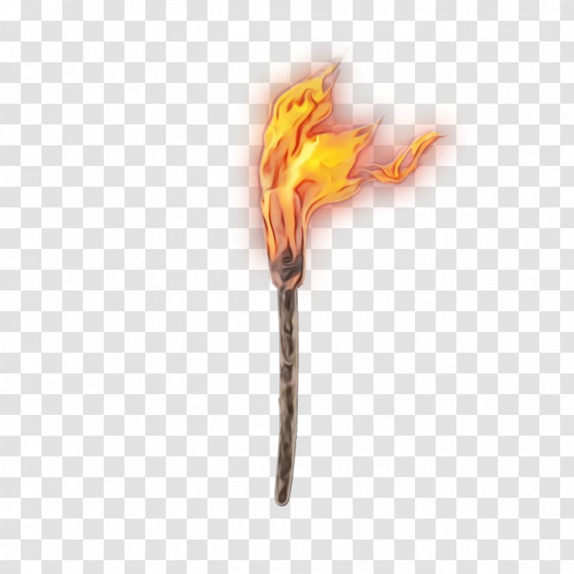 Desktop Wallpaper Computer - Flame - Plant Transparent PNG