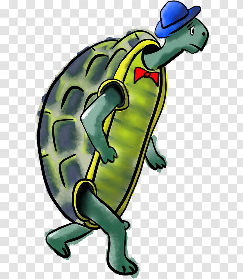 Tortoise Turtle Illustration Clip Art Character - Reptile Transparent PNG
