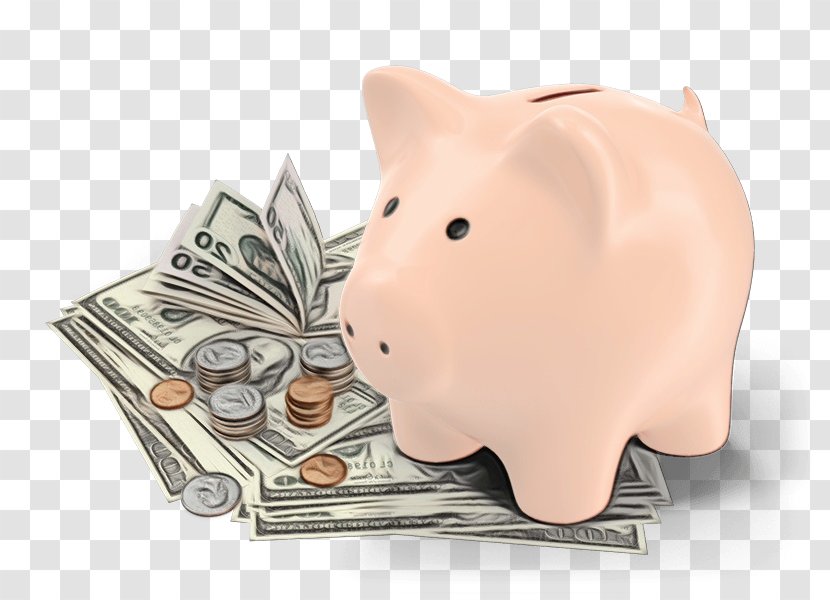 Piggy Bank - Animal Figure - Currency Transparent PNG