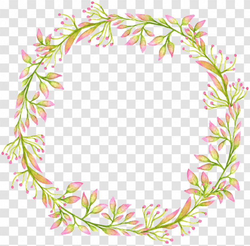 Wreath Clip Art Illustration Vector Graphics - Flora - Barres De Couleur Transparent PNG