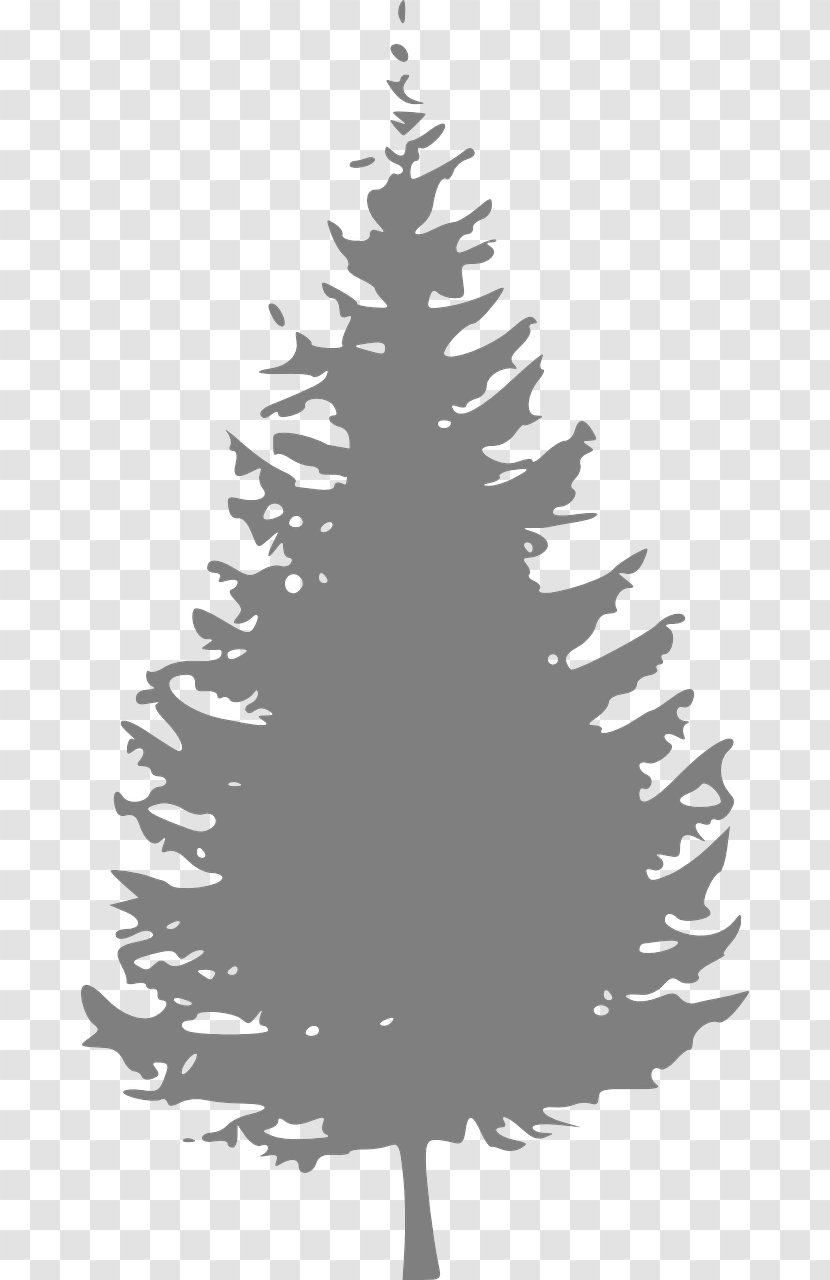 Pine Tree Fir Clip Art - Twig - Watercolor Christmas Blue Transparent PNG