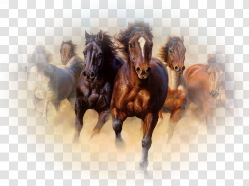 Horse Oil Painting Canvas Print - Mare Transparent PNG