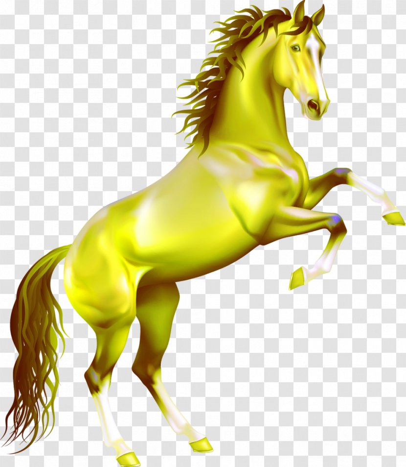 Arabian Horse Mustang Stallion Rearing Clip Art - Vertebrate - Golden Transparent PNG