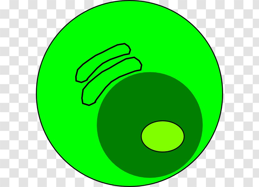 Plasma Cell Cytoplasm Cartoon Clip Art - Green - Clipart Transparent PNG