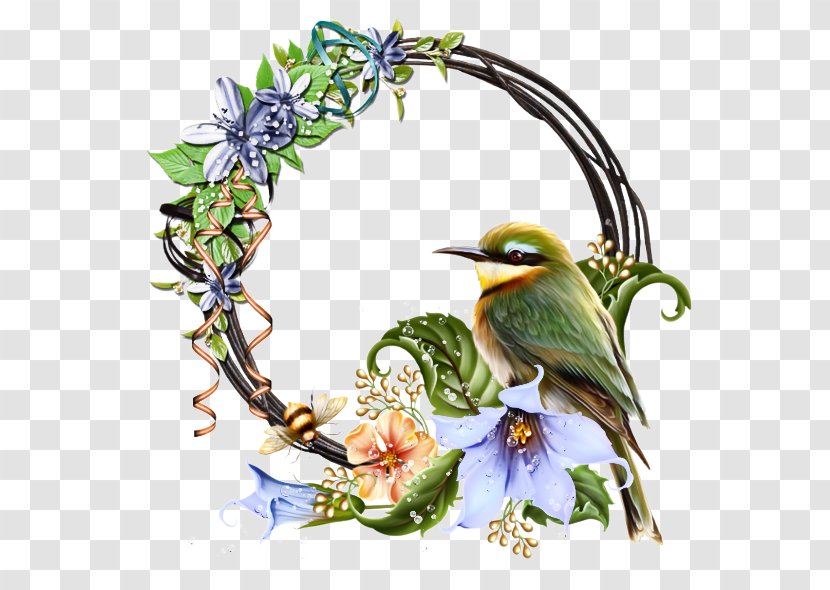 Watercolor Flower Background - Songbird - Pollinator Coraciiformes Transparent PNG