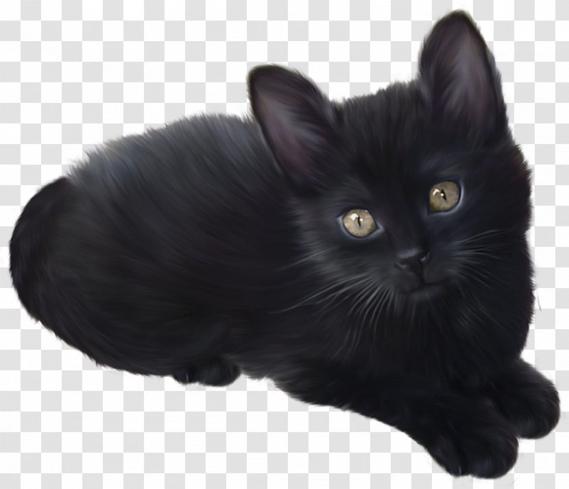 Munchkin Cat Persian Kitten Clip Art - Black Transparent PNG