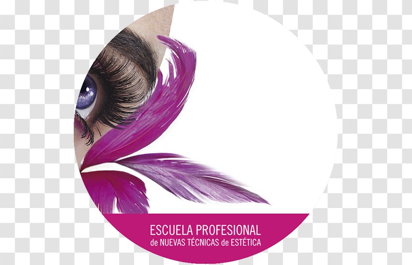 Sheir Bayan Kuaförü Beauty Parlour Desktop Wallpaper Cosmetics Eyelash Extensions - Pedicure - Depil Transparent PNG