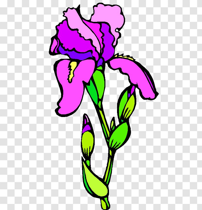 Floral Design Flower Carnation Drawing Cartoon - Herbaceous Plant - Trik Transparent PNG