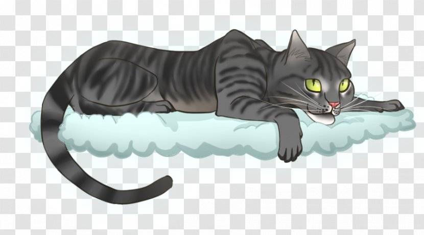 American Shorthair Whiskers Kitten Domestic Short-haired Cat Tabby - Carnivoran Transparent PNG