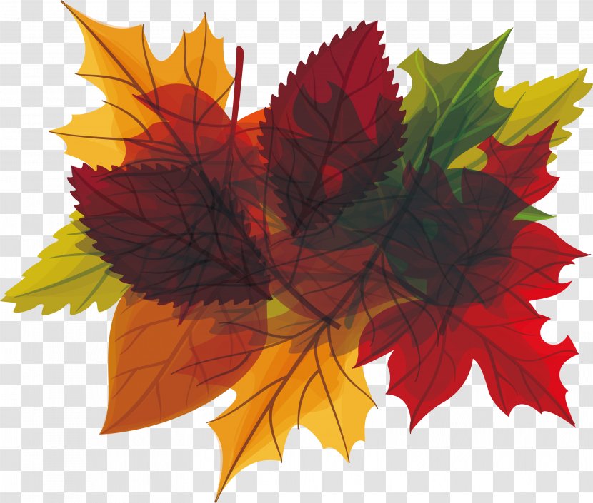 Autumn Leaf Euclidean Vector - Tree - Leaves Heading Box In Transparent PNG