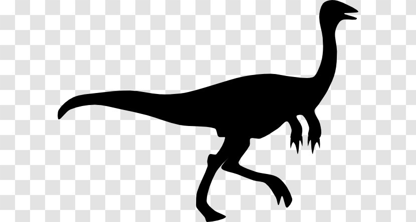 Gallimimus Velociraptor Silhouette - Tail - Dinosaur Outline Transparent PNG