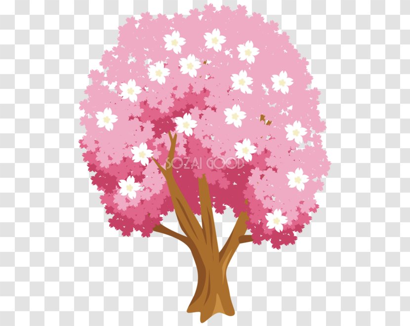 Cherry Blossom Floral Design Pink M Transparent PNG