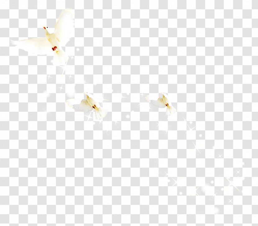 Floor Line Point Angle Pattern - Material - Flying The Pigeons Transparent PNG