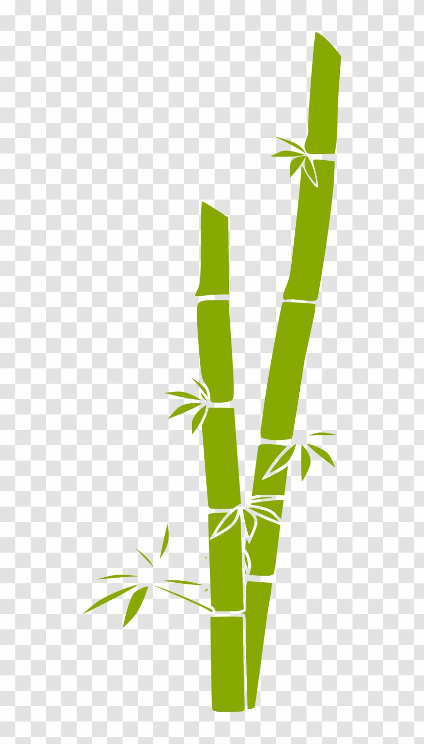 Bamboo Euclidean Vector Clip Art - Grass Family - Cliparts Transparent PNG