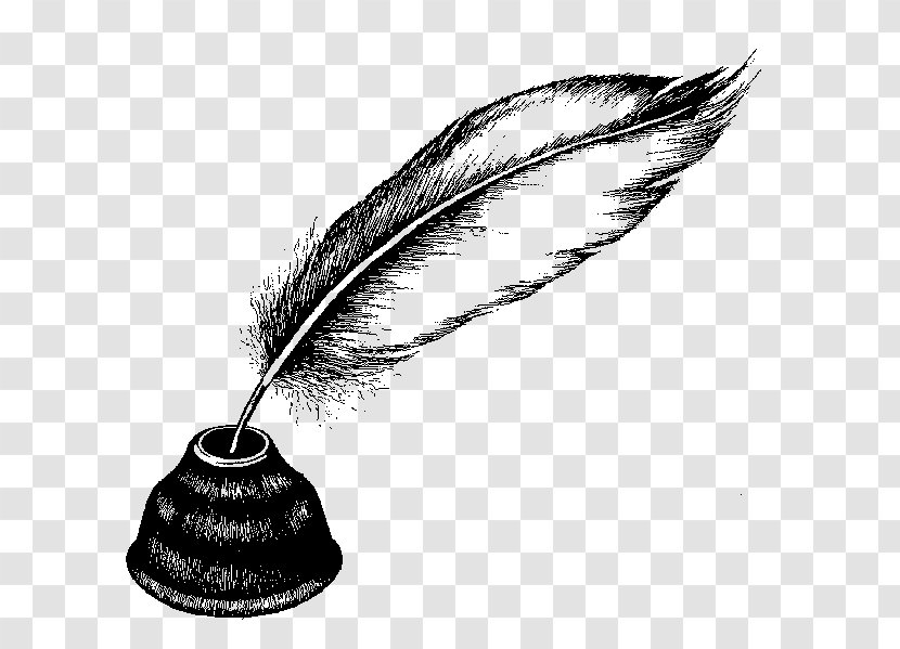 Feather - Office Instrument - Fashion Accessory Transparent PNG