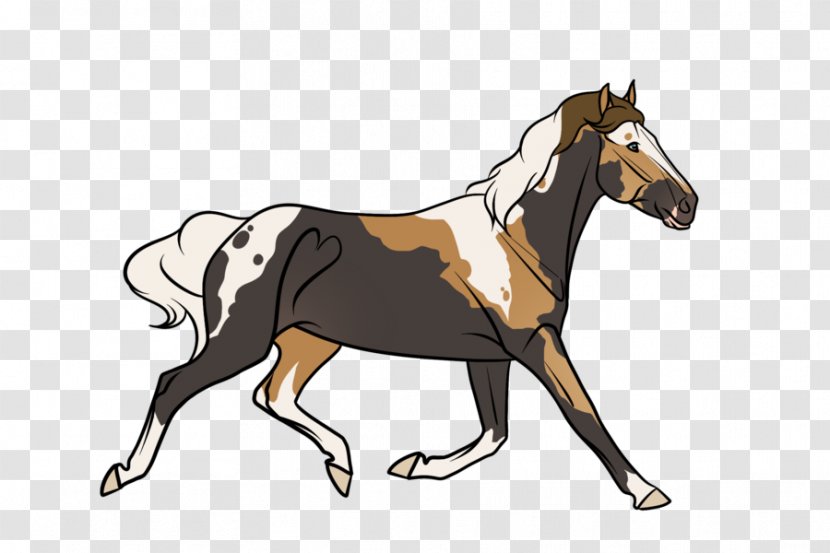 Mustang Foal Stallion Pony Bridle - Horse Transparent PNG